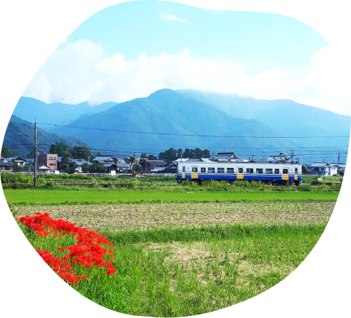 永平寺町のこと